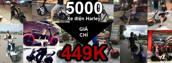 Xe điện bánh to Harley 449k 