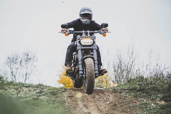 harley-davidson-fat-bob-nghich-dat-flat-track-offroad-anh4