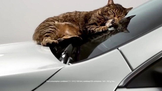 Mercedes-Benz quảng cáo khí động học bằng… mèo
