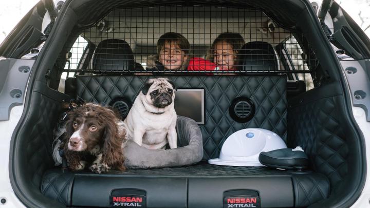 Nissan giới thiệu mẫu xe dành cho người yêu chó